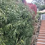 Colina Cannes 4* מאנדליה-לה-נאפול