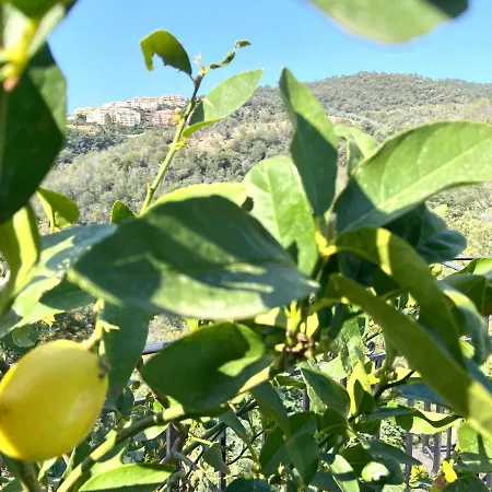 Colina * Mandelieu-la-Napoule