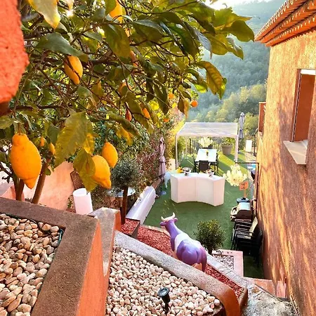 Colina Πανσιόν