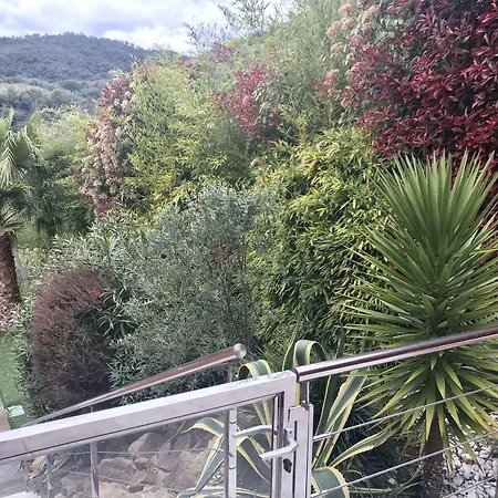 Colina Cannes