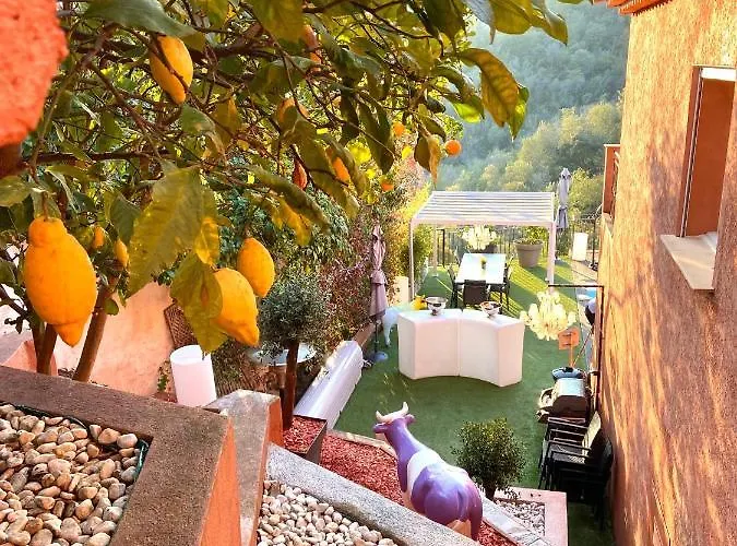 Colina Casa de hóspedes
